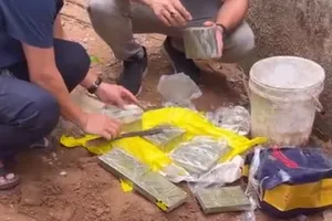 Chuyên án ma túy liên quan Bùi Đình Khánh: Bắt thêm 3 người, thu giữ 13 bánh heroin 