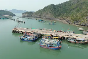 Hải Phòng, Quảng Ninh dừng các hoạt động trên biển để phòng, chống bão số 1