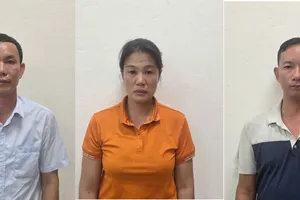 Quảng Ninh: Giám đốc công ty lâm nghiệp bị bắt vì khai thác gỗ trái phép