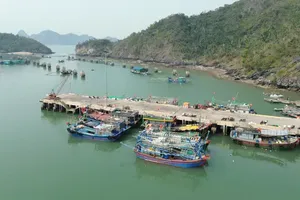 Hải Phòng, Quảng Ninh cấm biển để phòng, chống bão số 10