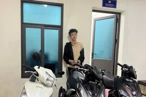 Hải Phòng: Bắt giữ thanh niên trộm hàng loạt xe máy