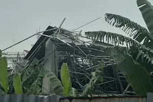 Hải Phòng: Sập giàn giáo khiến 3 người thương vong