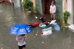 Mưa nhiều, ngập lụt , lội nước coi chừng 'dính' vi khuẩn ăn thịt người