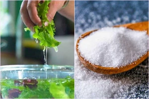 Ngâm rau trong nước muối để loại bỏ thuốc trừ sâu và hoá chất, đúng hay sai? 