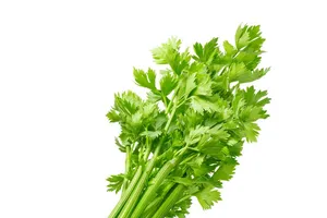 Thực hư cây cần tây chữa bệnh cao huyết áp? 