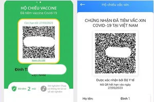 2 nguyên nhân khiến việc cấp hộ chiếu vaccine chậm trễ 