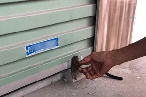 Hành trình giải cứu bé trai bị nhốt trong tủ đông 