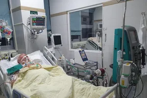 Truyền gần 20 lít máu để cứu sống bệnh nhân người Bỉ bị sốt rét ác tính 