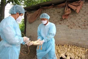 Tình hình sức khoẻ của bé gái mắc cúm gia cầm ở Phú Thọ