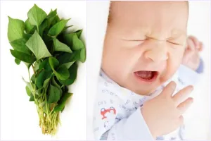 Những cách chữa ho từ 'cây nhà lá vườn" cực đơn giản cho trẻ sơ sinh 