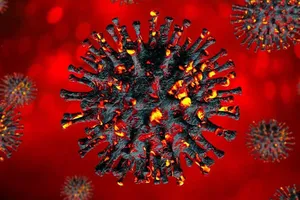 WHO đánh giá về biến thể XBB của Omicron tại Việt Nam 