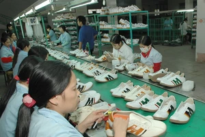 Chứng minh gia công mới được miễn thuế túi nylon