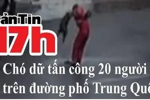Bản tin 17h: Chó dữ tấn công 20 người trên đường phố