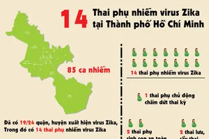 Infographic: 14 thai phụ nhiễm virus Zika tại TP.HCM