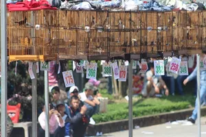 Clip: Liên hoan chim cảnh 2017 tổ chức tại TP Huế