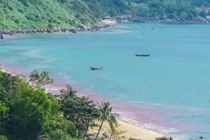 Lý giải về những vệt nước màu đỏ ven biển Đà Nẵng