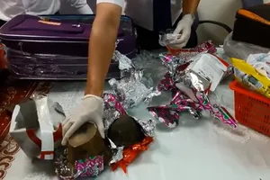 Clip:5 kg sừng tê giác nhập lậu bi bắt tại Tân Sơn Nhất