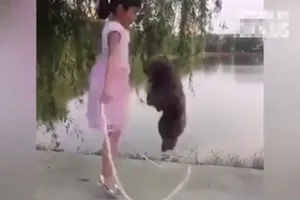 Bé gái nhảy dây cùng... chó cưng