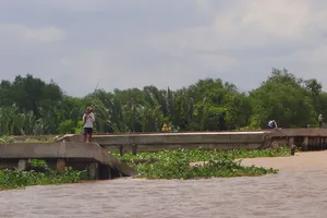 TP.HCM yêu cầu phải làm nhanh các dự án chống sạt lở