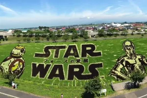 Ngắm những bức tranh đồng lúa 7 màu sống động ở Nhật 