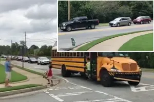 Cách hành xử của tài xế khi thấy xe bus dừng trạm ở Mỹ