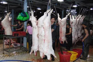 Chờ 'bấm nút' xóa giết mổ heo thủ công