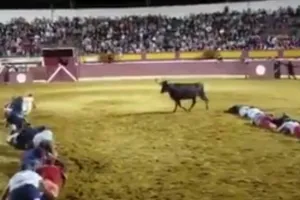 Cuộc thi đồng đội vượt mặt trâu