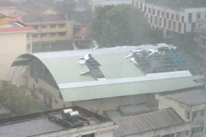 Mưa bão đang càn quét Nha Trang