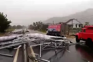 Cảnh tan hoang khi bão ở Suối Dầu