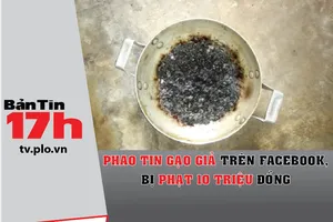 Phao tin gạo giả trên Facebook, bị phạt 10 triệu đồng