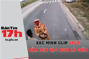 Bản tin 17h:Xác minh clip CSGT dẫm lên vật nghi là tiền