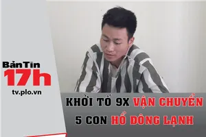 Bản tin 17h: Khởi tố 9X vận chuyển 5 con hổ đông lạnh