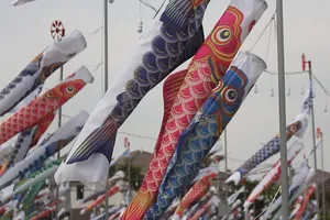 Lạ mắt với cánh đồng cá Koi tại TP.HCM