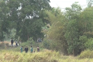 Đốt bãi lau sậy tìm nghi can cướp xe máy ở Bình Chánh