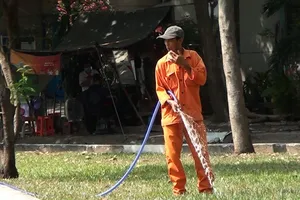 Dùng nước cống tưới cây: Đại diện tổ chăm sóc cây xanh nói gì?