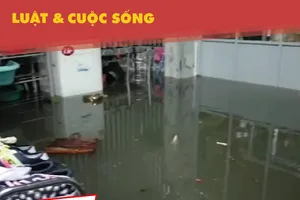 Ở nơi cư dân thành phố 10 năm sống trong cảnh ngập lụt