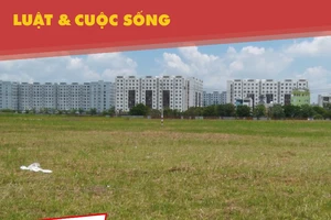 Cư dân phản pháo kết luận ô nhiễm chung cư do cỏ bông lau