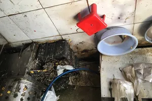 Giết mổ gia cầm không đảm bảo, có cấm được không?