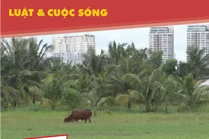 Dân Thanh Đa muốn sớm thực hiện dự án khu đô thị mới