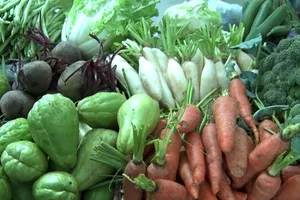 Có một khu chợ nông sản sạch của người trẻ