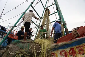 Cảng cá ở Vũng Tàu vẫn tấp nập trước giờ bão tới