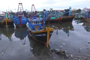 Tàu thuyền đậu kín sông Cà Ty để tránh bão số 9