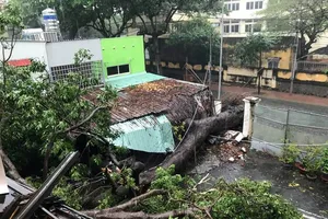 Mưa bão hoành hành ở Vũng Tàu