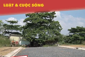 Xử lý nghiêm các dự án bất động sản bị ách tắc tiến độ