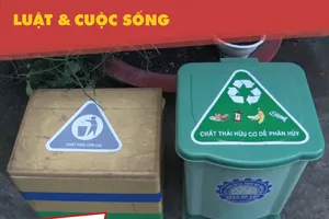 Phân loại rác tại nguồn được thực hiện ra sao?