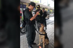 Chú cảnh khuyển ở sân bay Tân Sơn Nhất hiểu được tiếng người