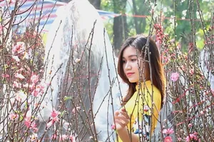 Chợ hoa Tết 2019 hút khách tham quan, chụp ảnh