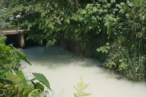 Người dân lo lắng vì nước thải từ KCN có mùi thuốc trừ sâu