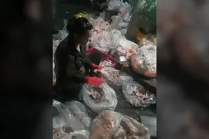 Cận cảnh bán gà để dưới đất, gần vũng nước dơ