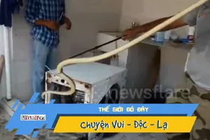 Phát hiện con rắn dài gần 2m trú ẩn trong máy giặt